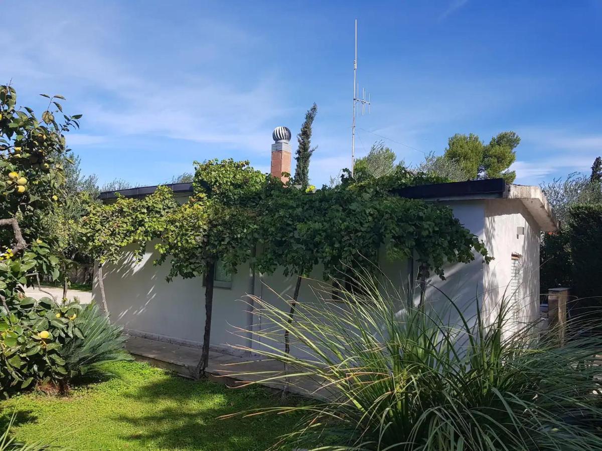 Countryhouse Gli Ulivi Modugno Eksteriør bilde